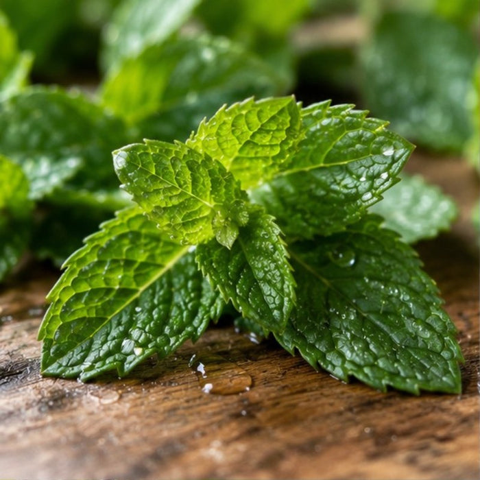 Menta y aceites esenciales